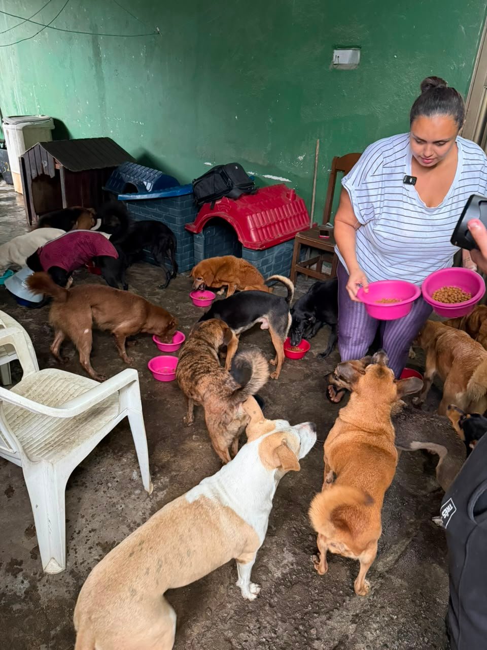Patinhas da Jaque alimentando os animais resgatados